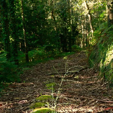 Pazo En Rias Bajas *