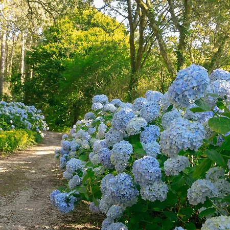 Pazo En Rias Bajas 빌라