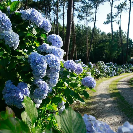 빌라 Pazo En Rias Bajas 부에우