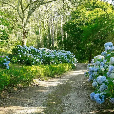 빌라 Pazo En Rias Bajas *
