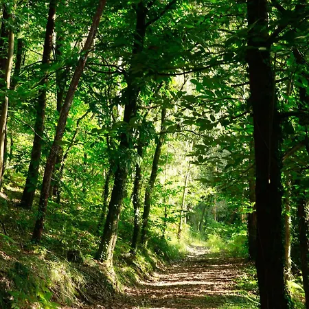 Pazo En Rias Bajas 빌라